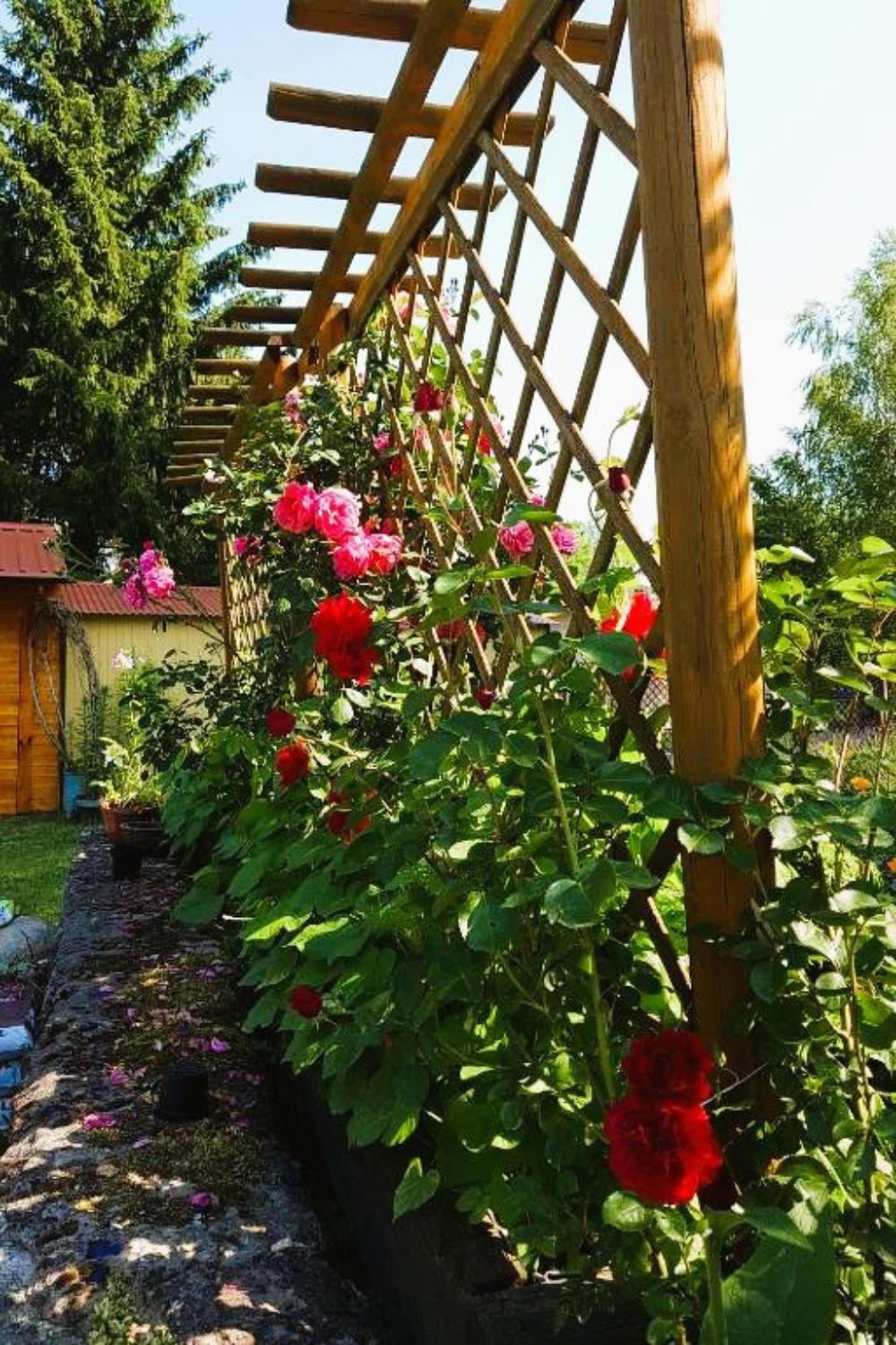 Olszyna Pod Brzoza Villa Екстериор снимка