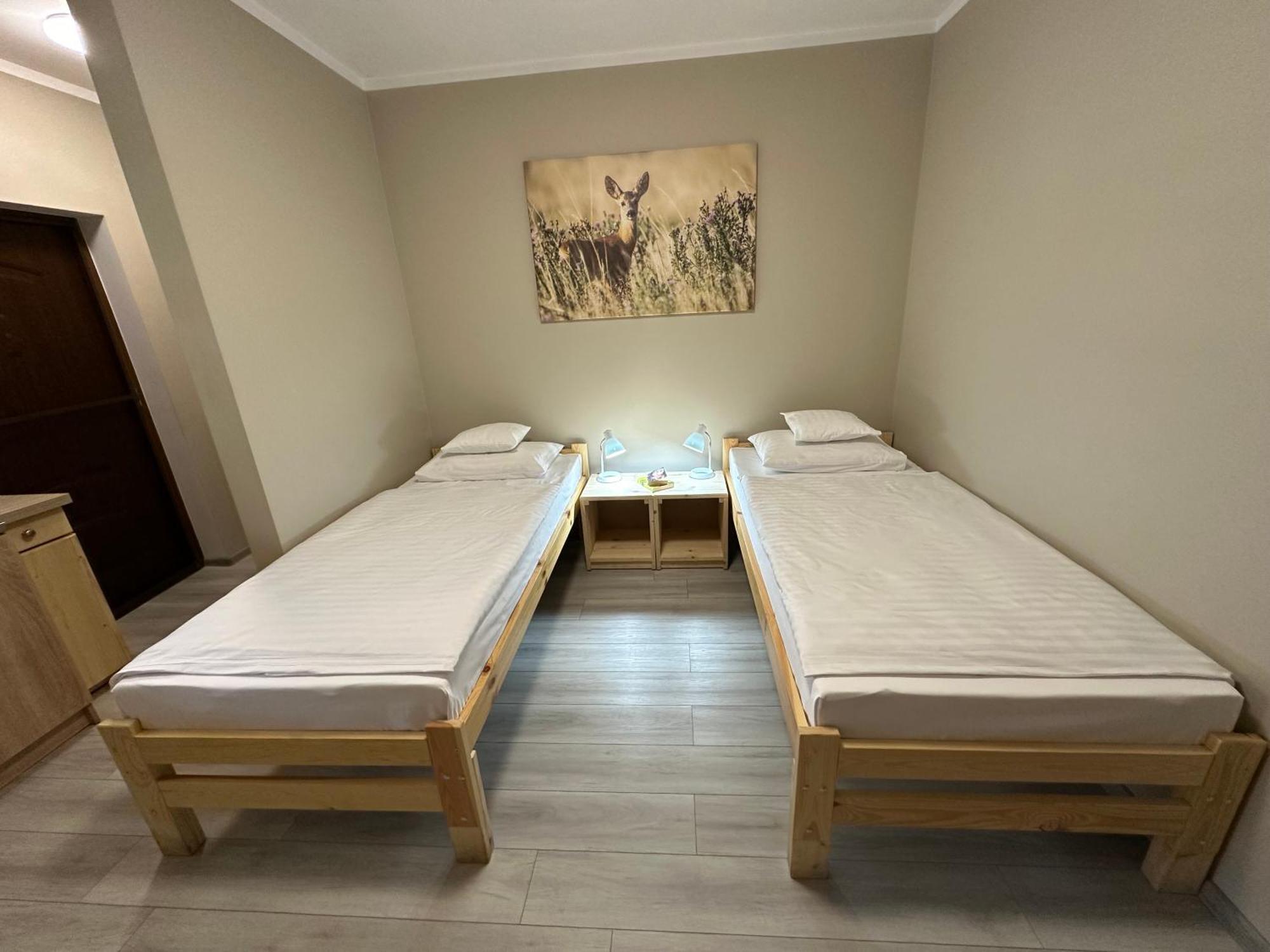 Olszyna Pod Brzoza Villa Екстериор снимка